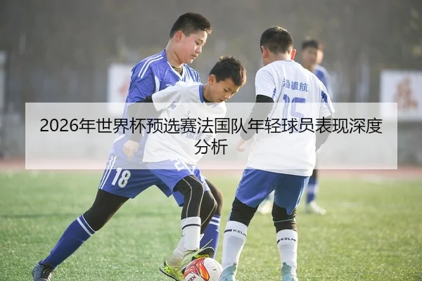 2026年世界杯预选赛法国队年轻球员表现深度分析