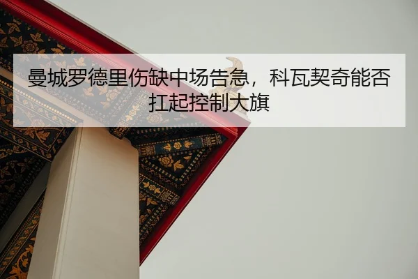 man-cheng-luo-de-li-shang-que-zhong-chang-gao-ji-ke-wa-qi-qi-neng-fou-kang-qi-kong-zhi-da-qi-3-410.jpg