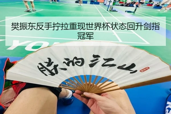 樊振东反手拧拉重现世界杯状态回升剑指冠军