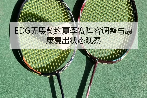 EDG无畏契约夏季赛阵容调整与康康复出状态观察