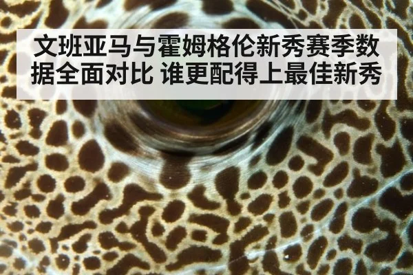 文班亚马与霍姆格伦新秀赛季数据全面对比 谁更配得上最佳新秀
